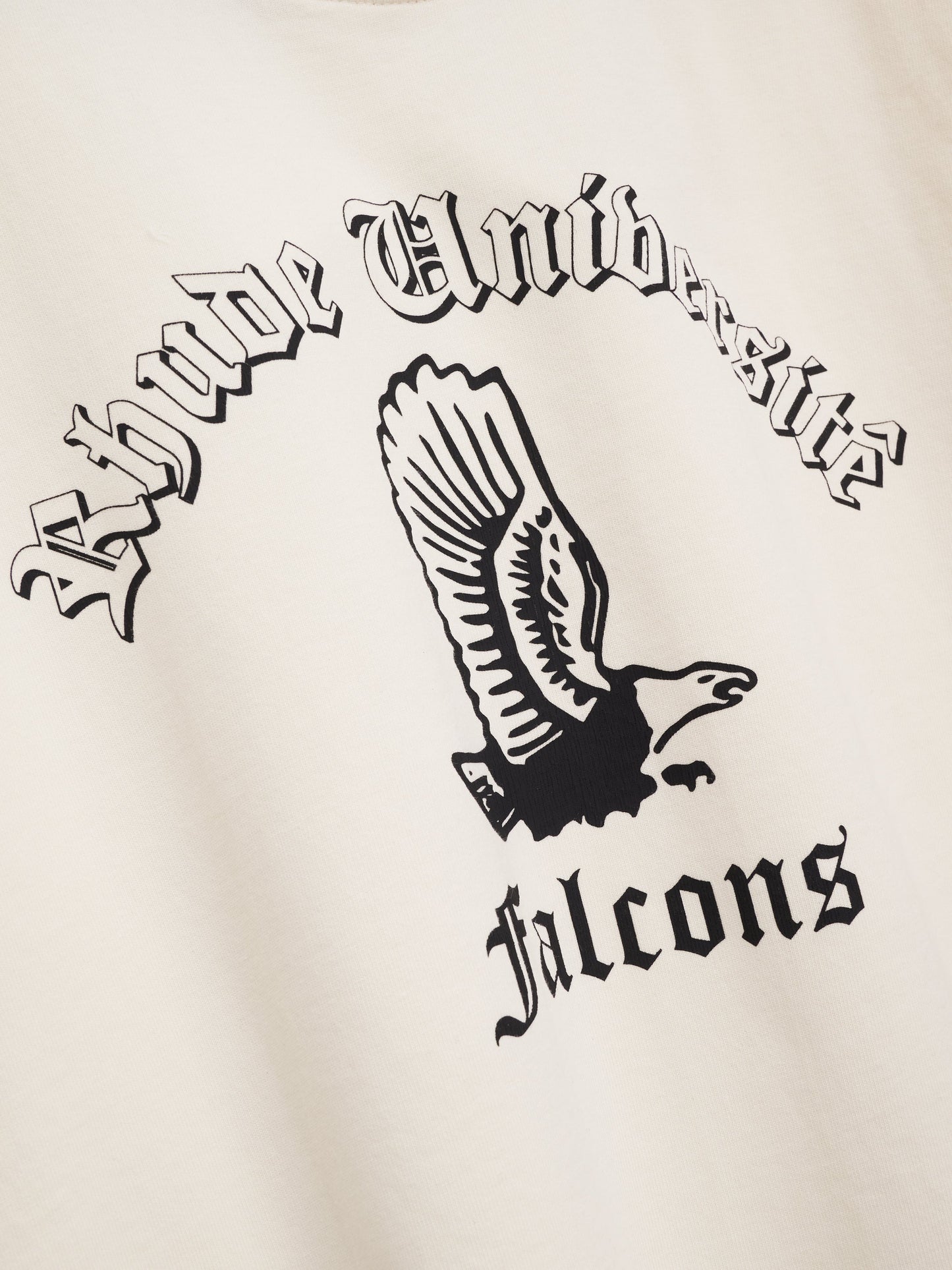 COLLEGIATE FALCONS TEE